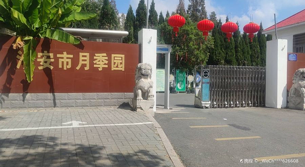 淮安市月季园