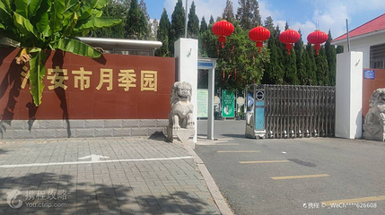 月季园第 2 张图片