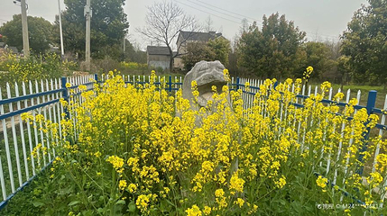 丹阳南朝陵墓石刻第 1 张图片
