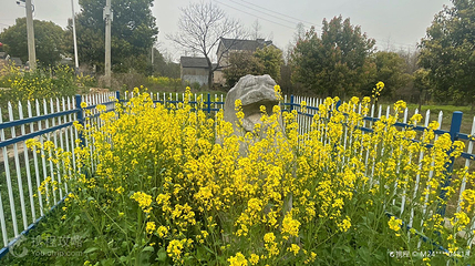 丹阳南朝陵墓石刻第 5 张图片