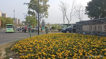 青龙山公园第 3 张图片