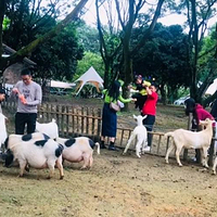 京明温泉度假村动物观赏园