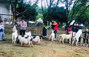 京明温泉度假村动物观赏园第 1 张图片