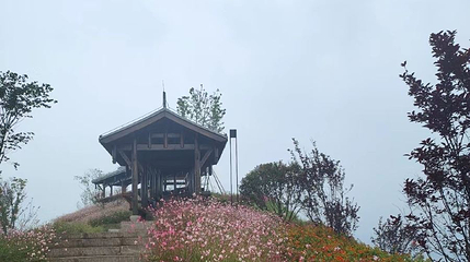 两江嘉美公园第 1 张图片