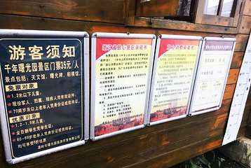 千年曙光园第 11 张图片