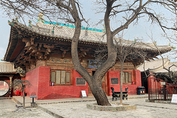 镇国寺第 18 张图片