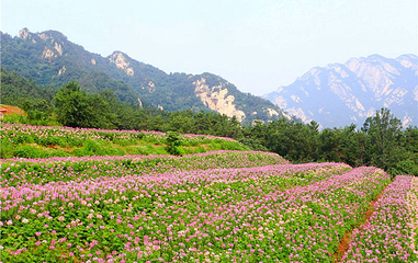 昆嵛山石门里景区第 1 张图片