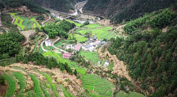 高田坑村