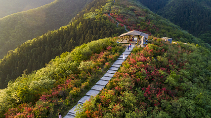 大熊山国家森林公园第 4 张图片