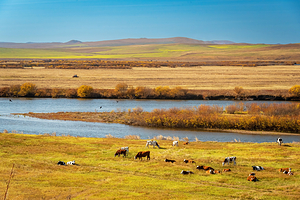 室韦临江界河风景区