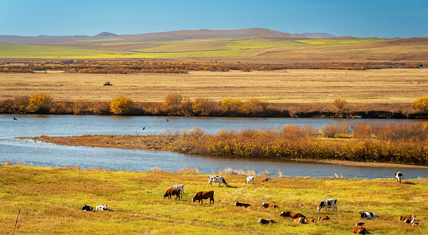 室韦临江界河风景区