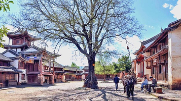 茶马古道陈列馆