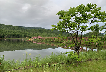 峰岩山寨旅游度假区第 31 张图片
