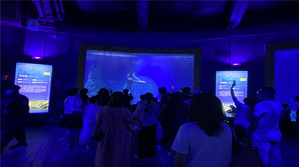 兰州海洋公园第 13 张图片