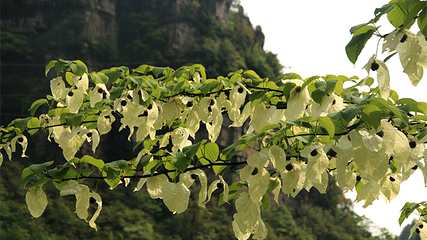 小草坝生态旅游区第 35 张图片