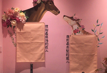 卡萌动物公园(万达广场濮阳店)第 22 张图片