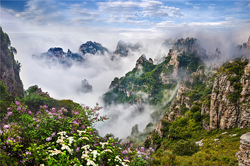 白石山世界地质公园第 72 张图片