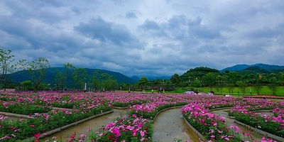 恒大峨眉山国际度假区-佛光花海