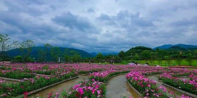 恒大峨眉山国际度假区-佛光花海