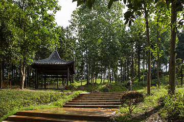 乐安登云岭景区第 2 张图片