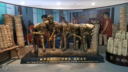 湖南省茶叶博物馆第 5 张图片