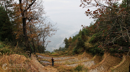 大会岭红枫古道第 3 张图片