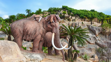 福建石岩植物园第 10 张图片
