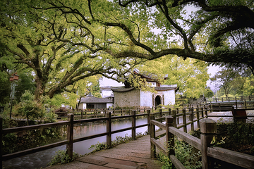 古堰画乡旅游度假区第 53 张图片