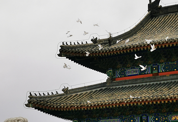 孝庄园文化旅游区第 41 张图片