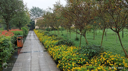花香果居旅游景区第 3 张图片