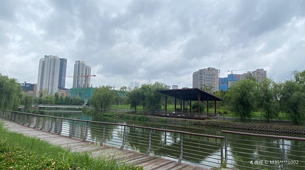 朝阳中央公园第 1 张图片
