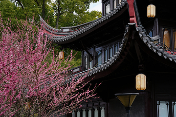 天一阁·月湖景区第 9 张图片