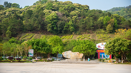 万绿湖风景区第 30 张图片