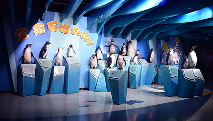 海合安天津极地海洋公园第 89 张图片