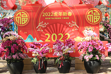 大连七彩南山景区第 5 张图片