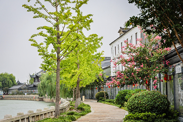 吴江运河文化旅游景区第 14 张图片