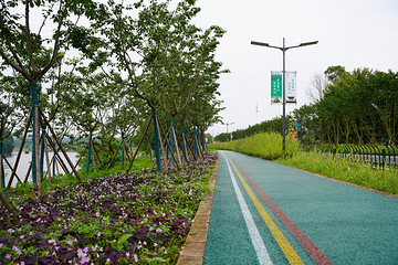 蜀口生态岛第 15 张图片
