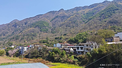班竹景区第 1 张图片