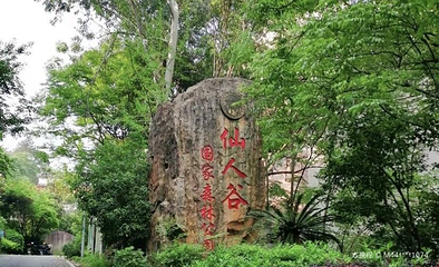 福建三明仙人谷国家森林公园第 1 张图片