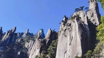 三清山-狐狸啃鸡
