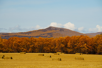 海拉尔国家森林公园第 2 张图片