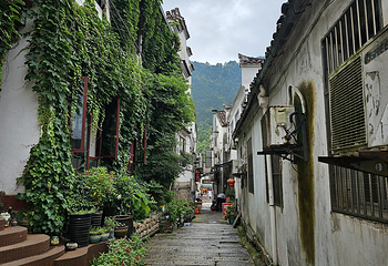 九华山风景区第 203 张图片