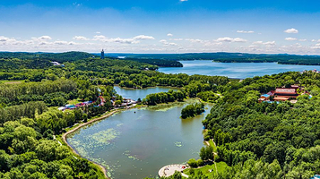 长春市青年公园-森林公园