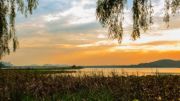 武汉后官湖国家湿地公园