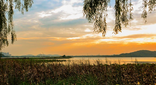 武汉后官湖国家湿地公园