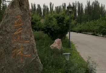 五道林第 1 张图片