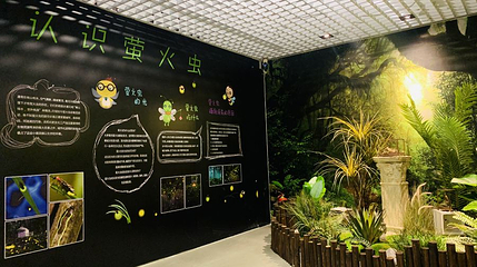 萤火虫星空艺术馆(天津店)第 1 张图片
