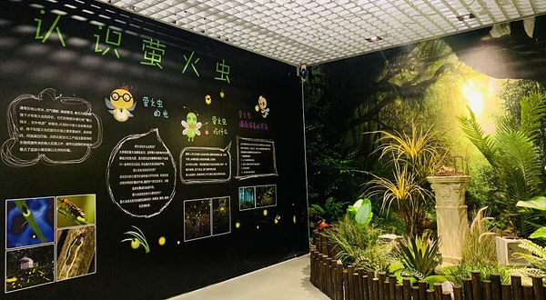 萤火虫(天津店)