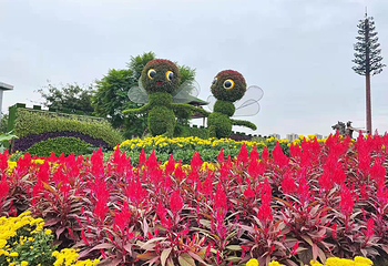 音乐百花谷第 38 张图片