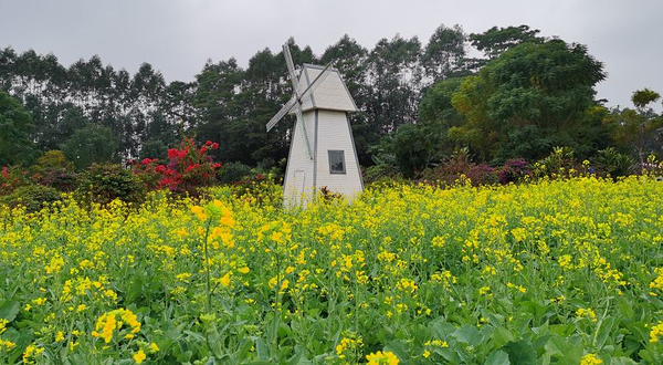 华阳湖克拉农场·农家乐·烧烤野炊